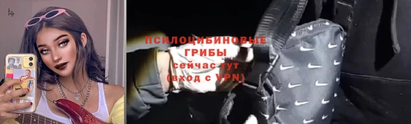 прущий лед Арсеньев