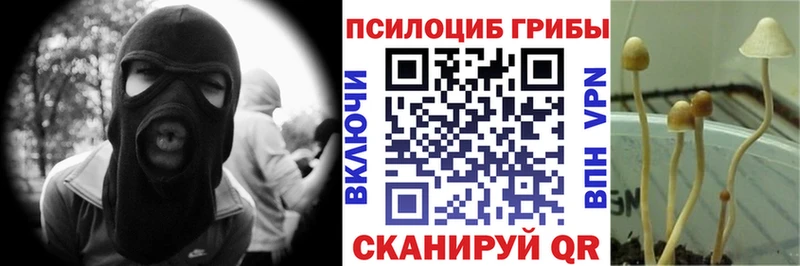 Галлюциногенные грибы GOLDEN TEACHER  наркотики  Александровск 